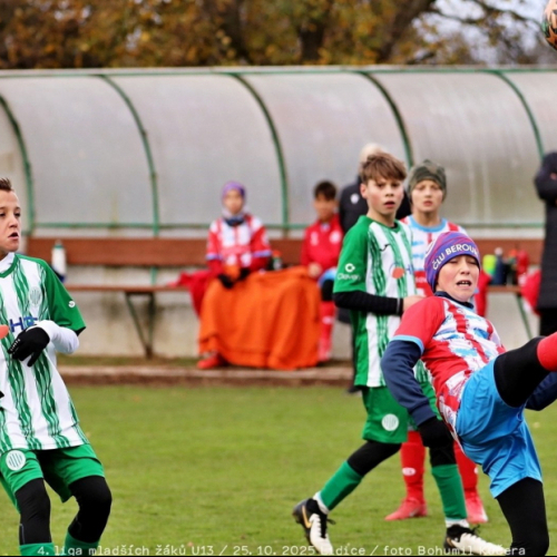 sh13-beroun (11).jpg