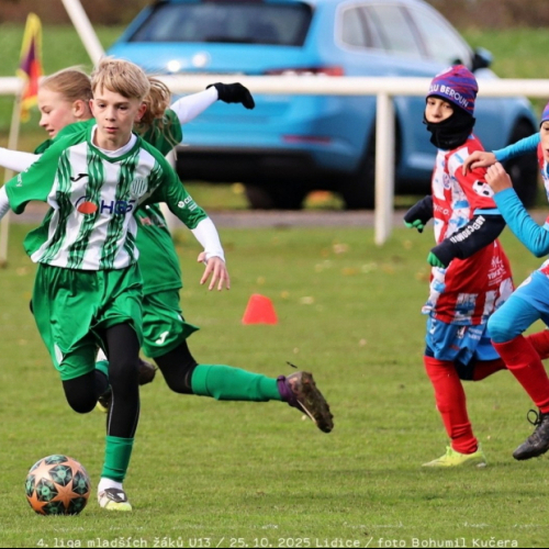 sh13-beroun (20).jpg