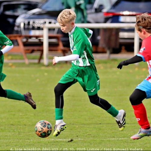 sh13-beroun (22).jpg