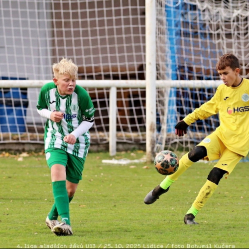 sh13-beroun (24).jpg