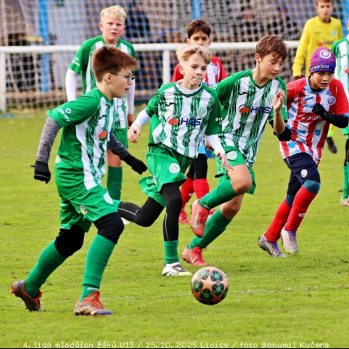 sh13-beroun (28).jpg