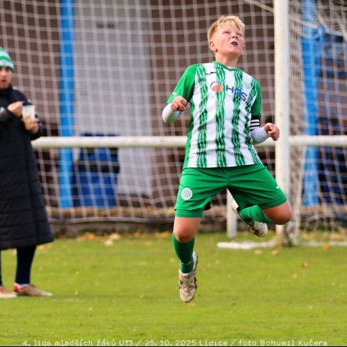 sh13-beroun (25).jpg