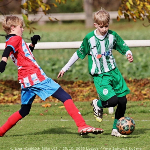 sh13-beroun (35).jpg