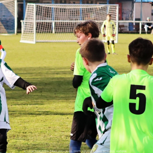 sh13-krocehlavy (1).jpg