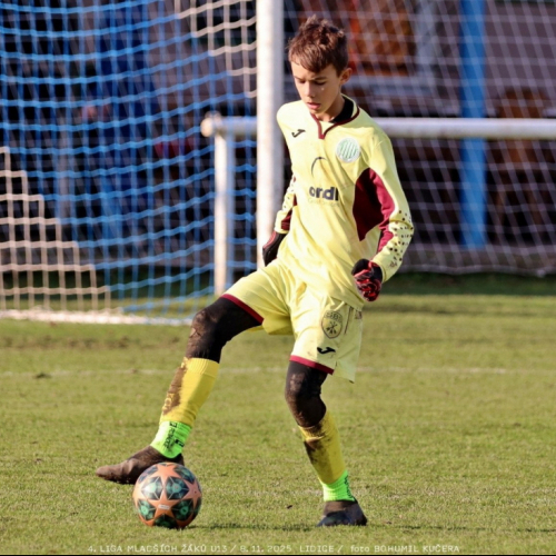 sh13-krocehlavy (5).jpg