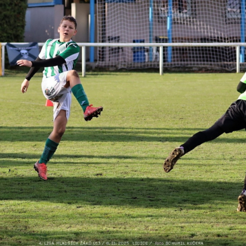 sh13-krocehlavy (7).jpg