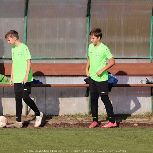 sh13-krocehlavy (9).jpg