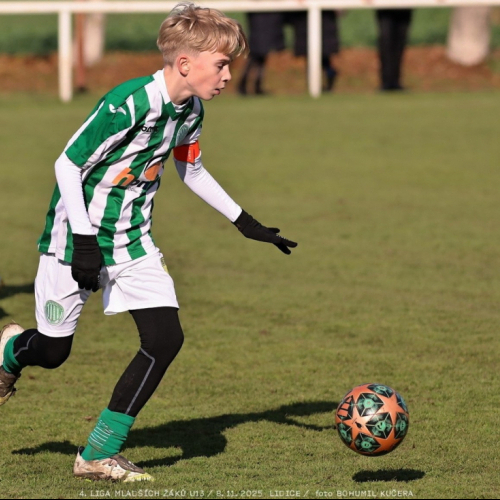 sh13-krocehlavy (10).jpg