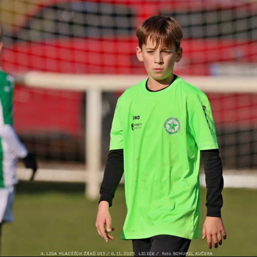 sh13-krocehlavy (13).jpg