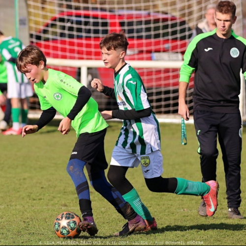 sh13-krocehlavy (16).jpg