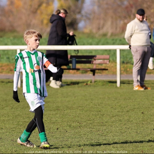 sh13-krocehlavy (14).jpg