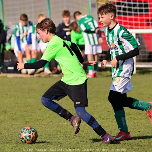 sh13-krocehlavy (17).jpg