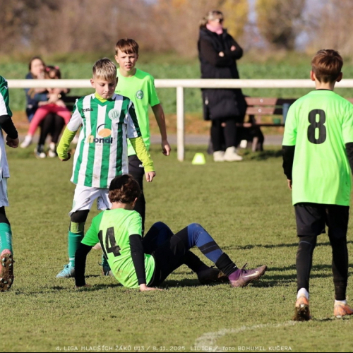 sh13-krocehlavy (18).jpg