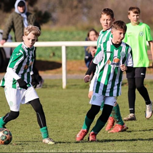 sh13-krocehlavy (24).jpg