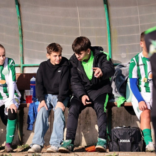 sh13-krocehlavy (23).jpg