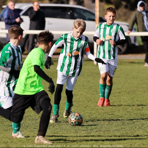 sh13-krocehlavy (25).jpg