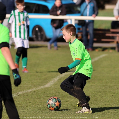 sh13-krocehlavy (26).jpg