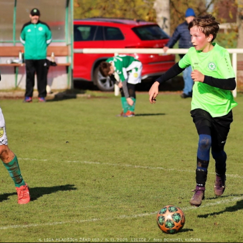 sh13-krocehlavy (28).jpg