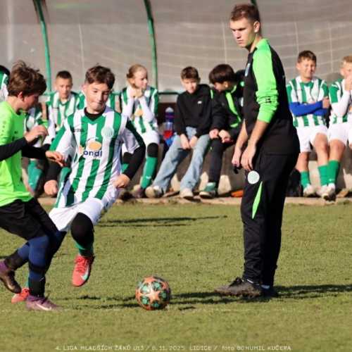 sh13-krocehlavy (29).jpg