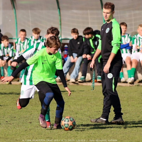 sh13-krocehlavy (30).jpg