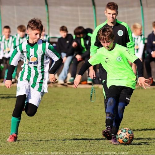 sh13-krocehlavy (31).jpg