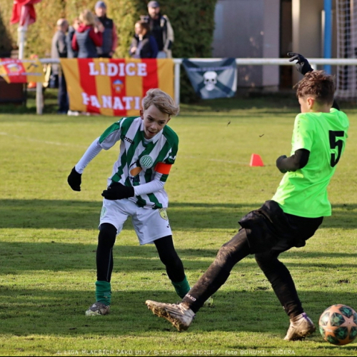 sh13-krocehlavy (34).jpg