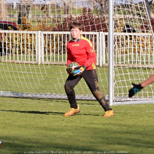 sh13-krocehlavy (38).jpg