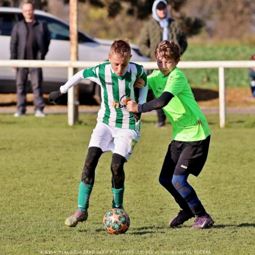 sh13-krocehlavy (36).jpg