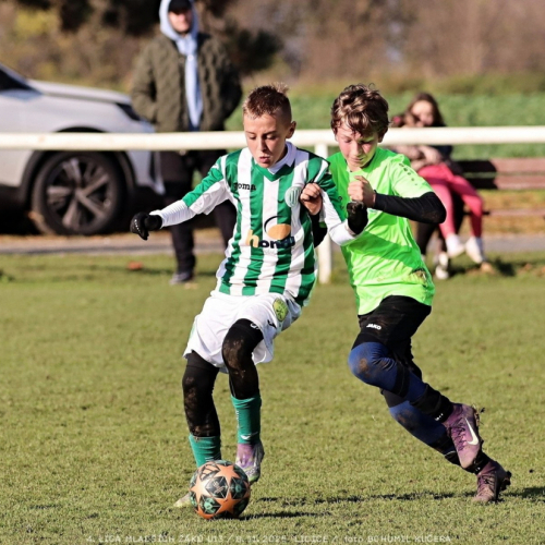 sh13-krocehlavy (35).jpg