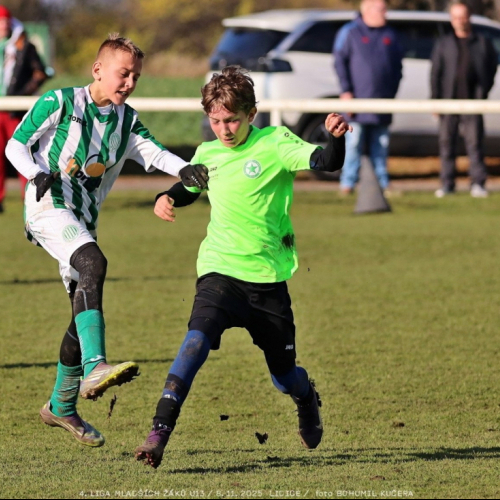 sh13-krocehlavy (37).jpg