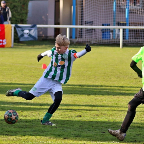 sh13-krocehlavy (33).jpg