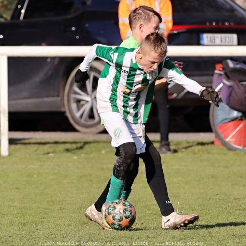 sh13-krocehlavy (39).jpg