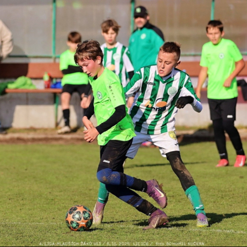 sh13-krocehlavy (40).jpg