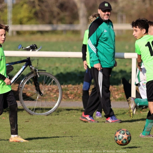 sh13-krocehlavy (41).jpg