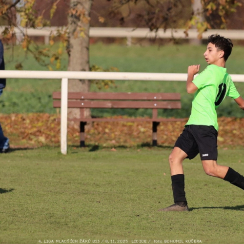 sh13-krocehlavy (42).jpg