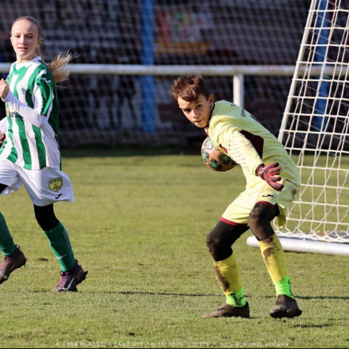 sh13-krocehlavy (44).jpg