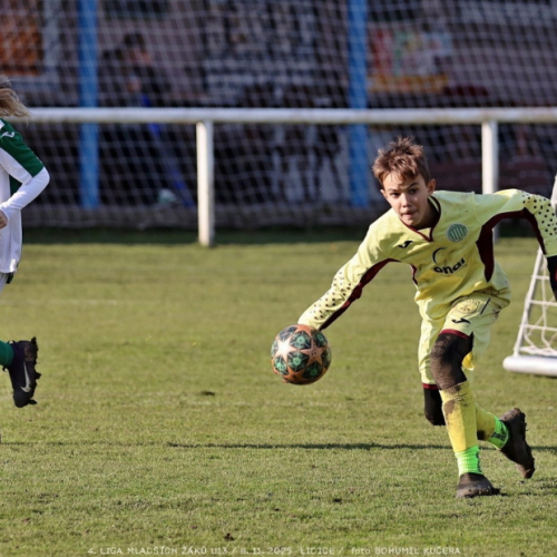 sh13-krocehlavy (45).jpg