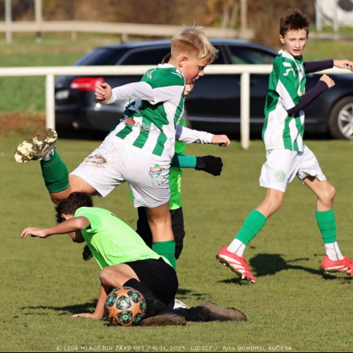 sh13-krocehlavy (46).jpg