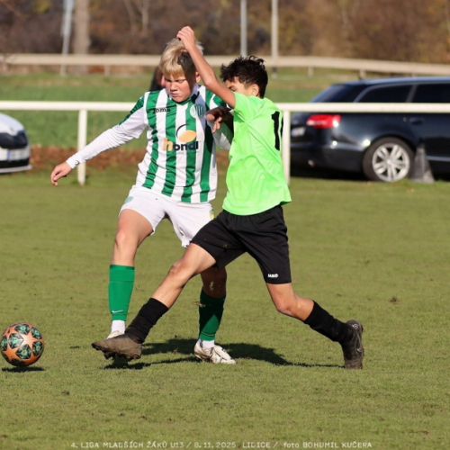 sh13-krocehlavy (48).jpg