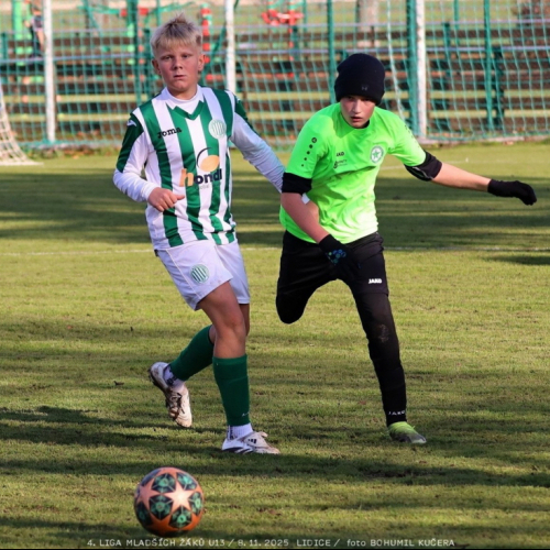 sh13-krocehlavy (50).jpg