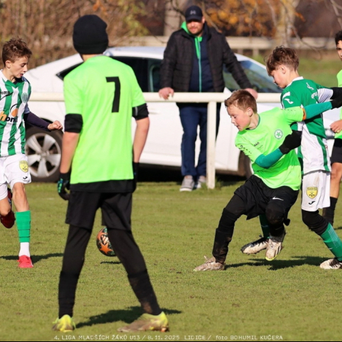 sh13-krocehlavy (53).jpg