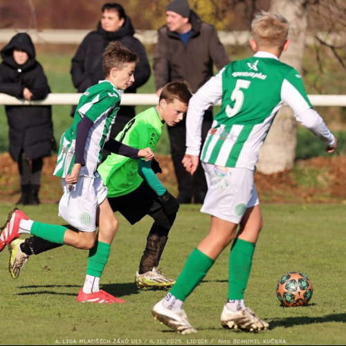 sh13-krocehlavy (54).jpg