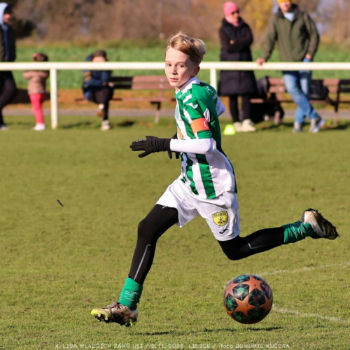 sh13-krocehlavy (56).jpg