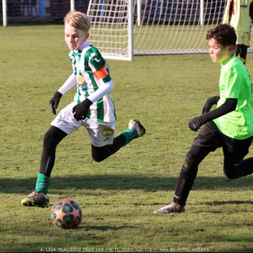 sh13-krocehlavy (57).jpg