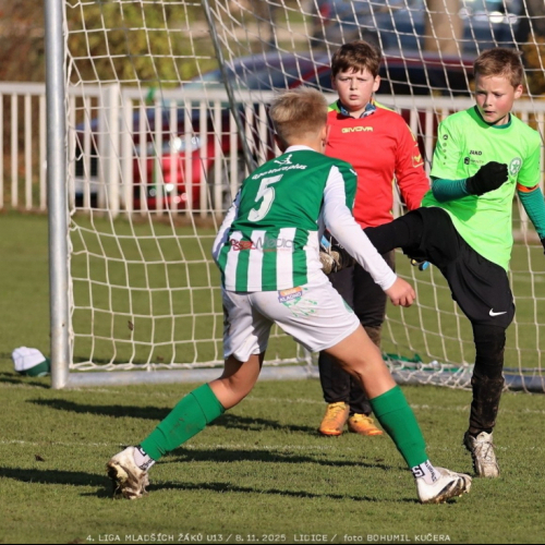 sh13-krocehlavy (55).jpg