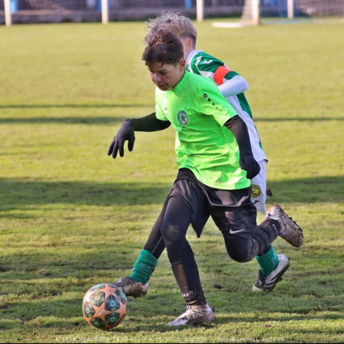 sh13-krocehlavy (58).jpg