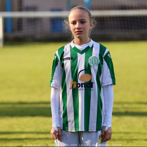 sh13-krocehlavy (60).jpg