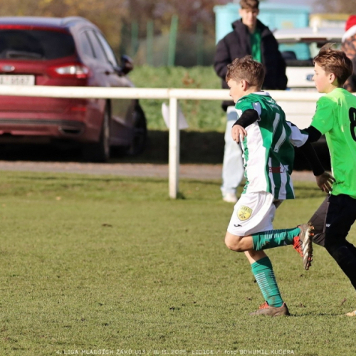 sh13-krocehlavy (63).jpg