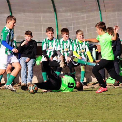 sh13-krocehlavy (62).jpg