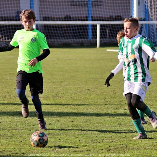 sh13-krocehlavy (64).jpg